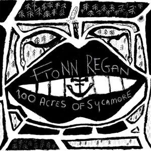 Fionn Regan - 100 Acres Of Sycamore  LP LP